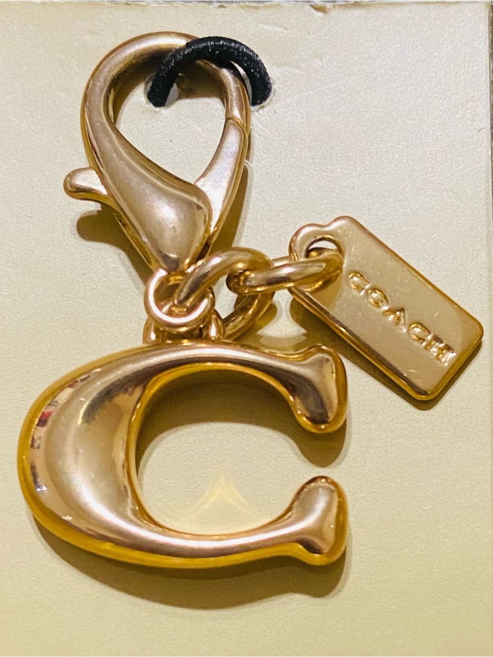 Coach Bag Coach Charm